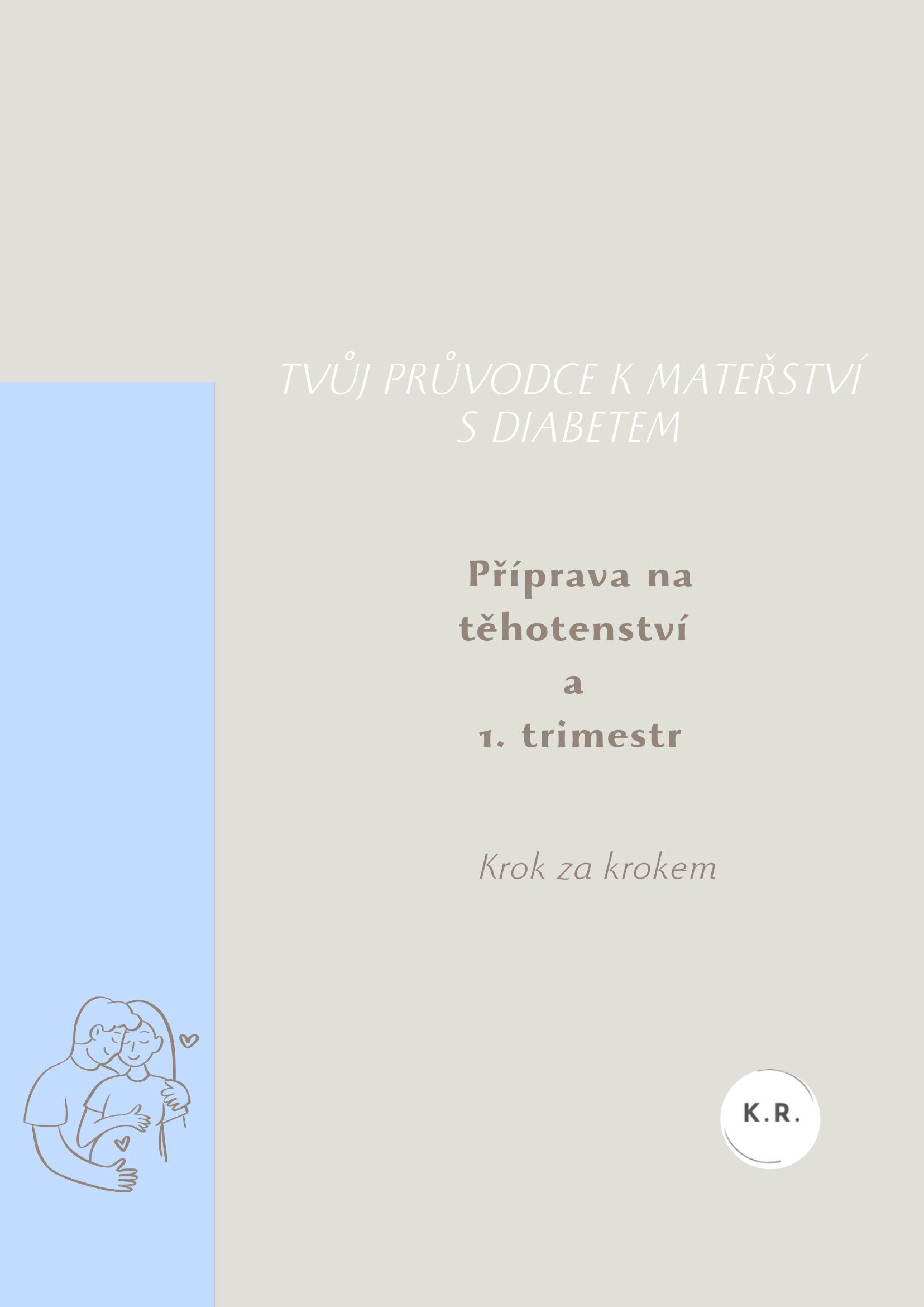 Obálka ebooku Příprava a 1. trimestr