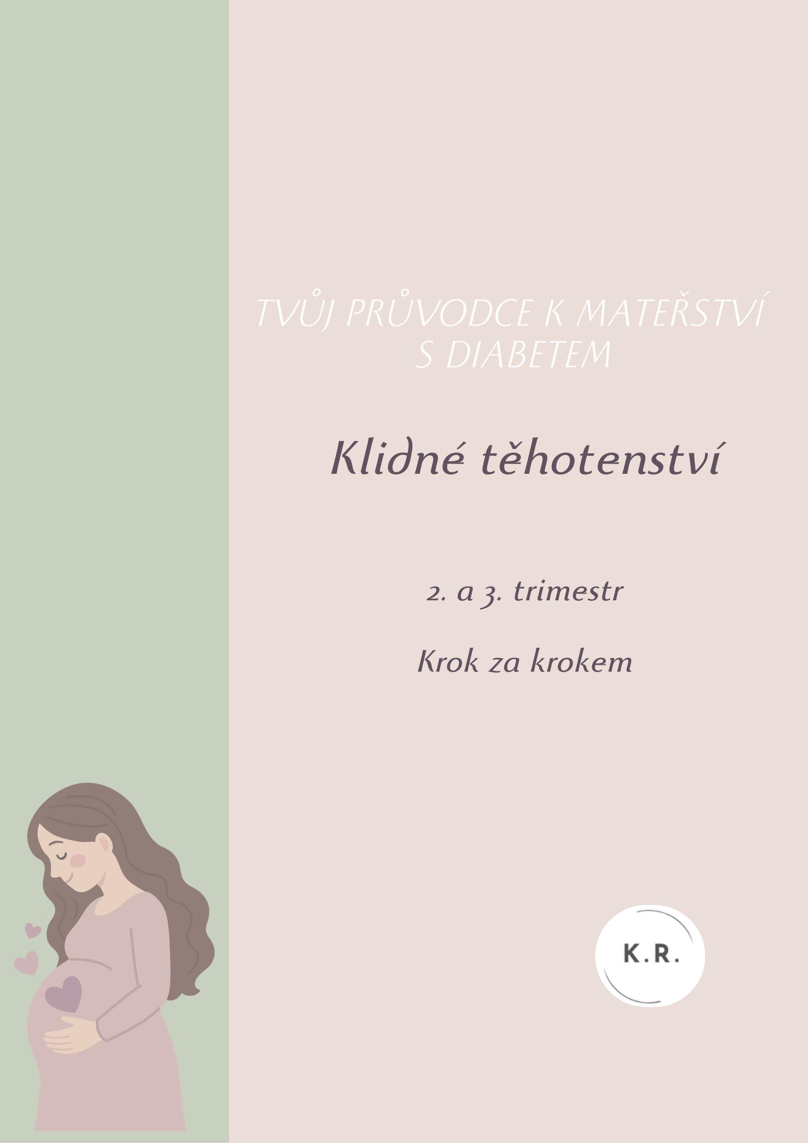Obálka ebooku 2. a 3. trimestr